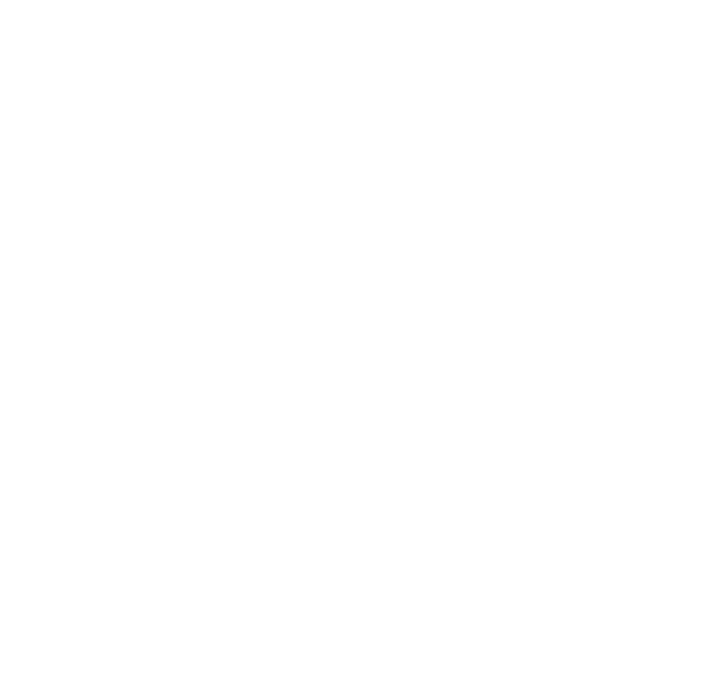 pricelessincite.com